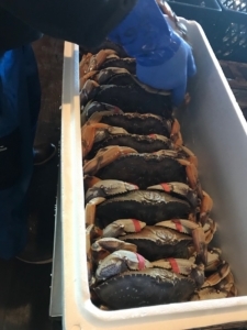 Smokey Bay Dungy Crab Anacortes (3)