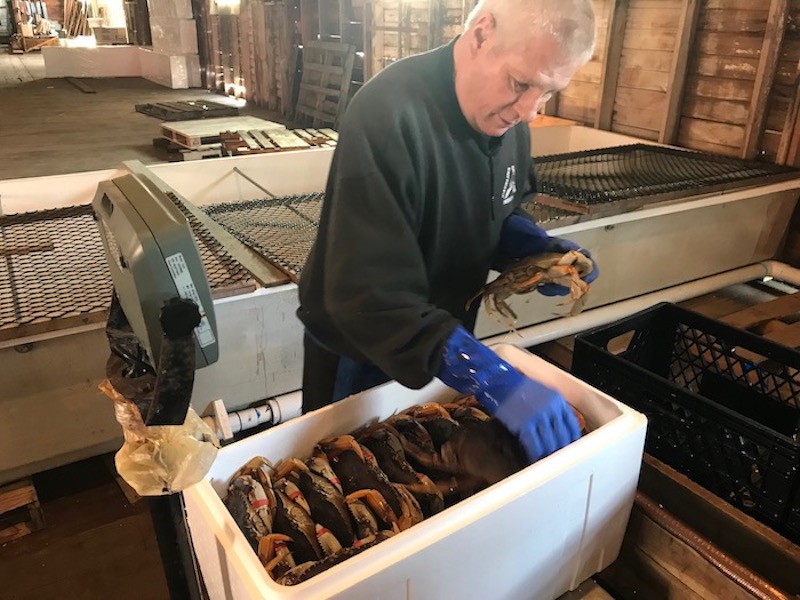Smokey Bay Dungy Crab Anacortes (4)