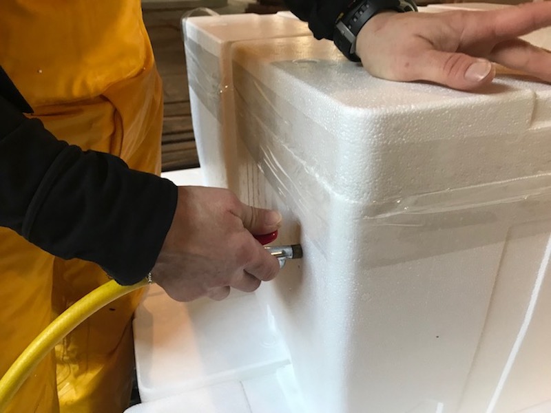 Smokey Bay Dungy Crab Anacortes (7)