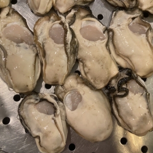 buy-oyster-meat-wholesale