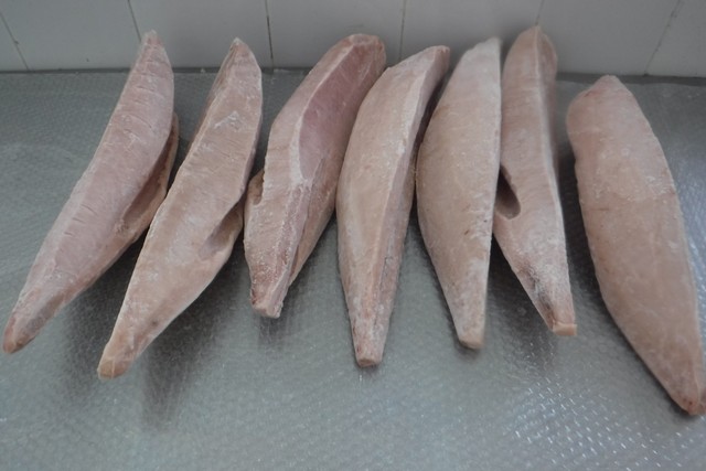 albacore-tuna-canada-buy-wholesale