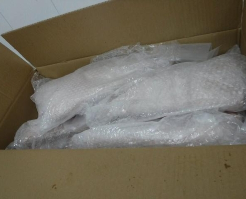 albacore-tuna-canada