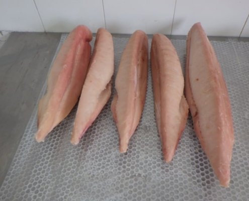 albacore-tuna-wholesale-price