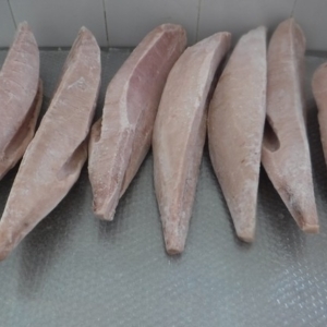 albacore-tuna-wholesale-seafood