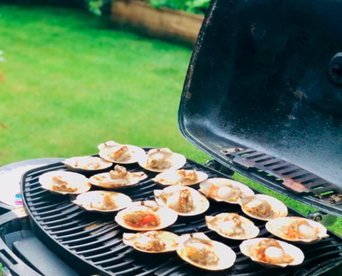 Frozen Wild Sea Scallop buy-sea-scallops-frozen-with-shell