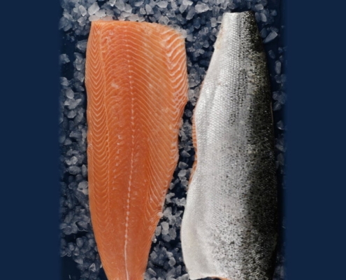 Fresh Farmed Atlantic Salmon fresh-salmon-wholesale