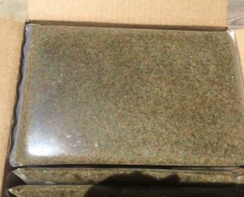 frozen-artemia-biomass-for-sale