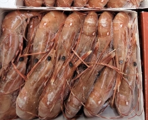 Frozen Wild Spot Prawn frozen-spot-prawns-vancouver