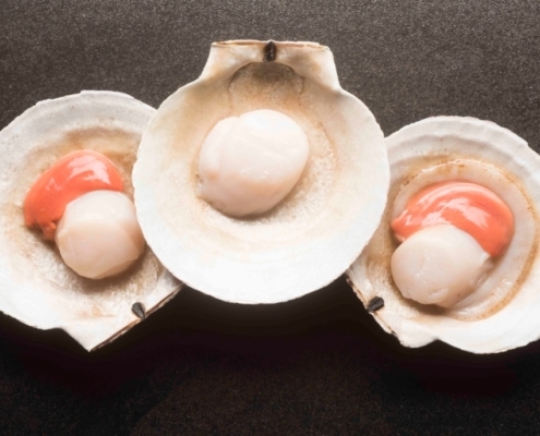 Frozen Wild Sea Scallop frozen-wild-sea-scallops-wholesale