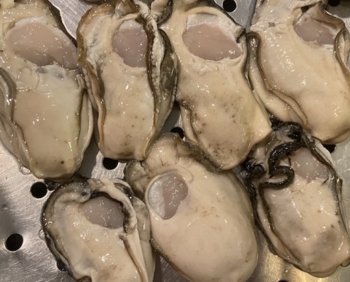 oyster-meat