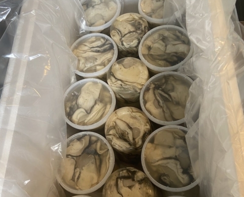 oyster-meat-canada