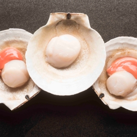 sea-scallop-wholesale-seafood