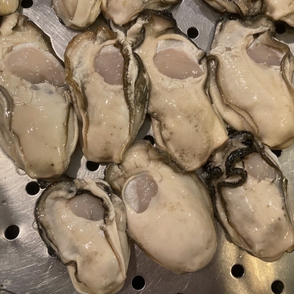 shucked-oyster-meat-wholesale-seafood