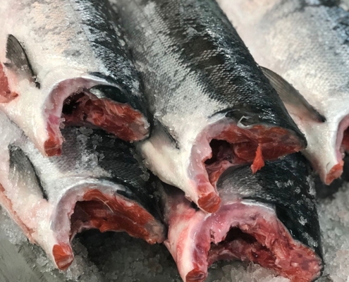 sockeye-salmon-wholesale
