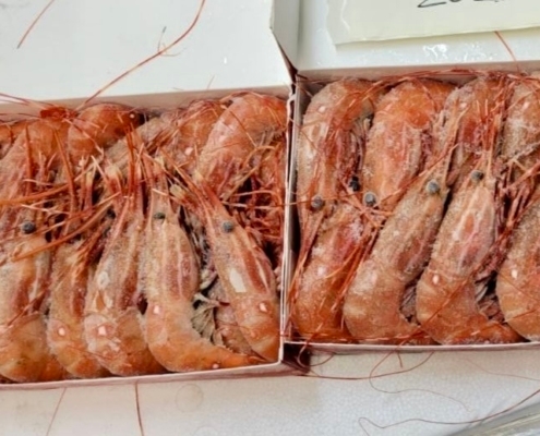 Frozen Wild Spot Prawn spot-prawns