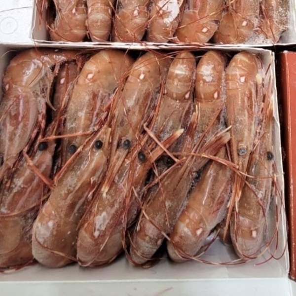 spot-prawns-wholesale-seafood