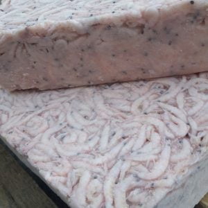 superba-krill-aquafeed