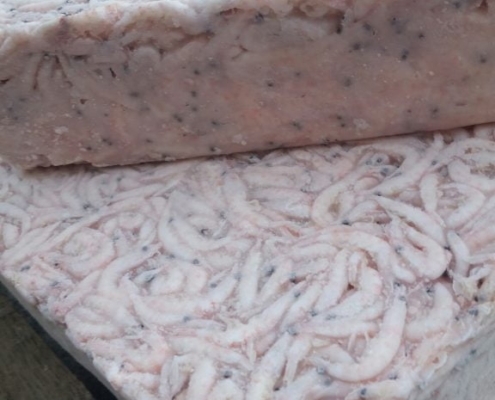 superba-krill-aquafeed