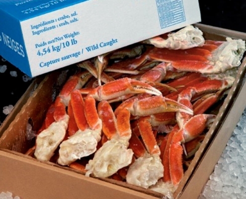 wholesale-snow-crab-legs