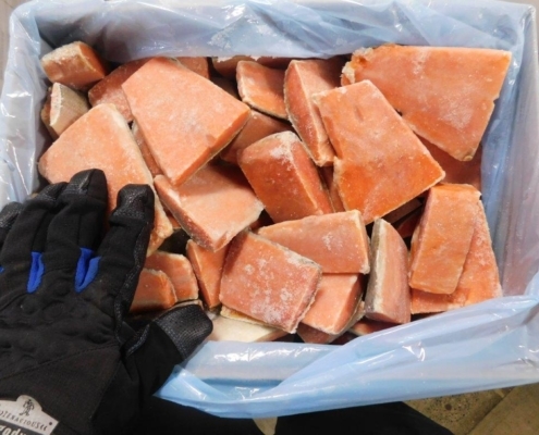 wild-pacific-salmon-canada