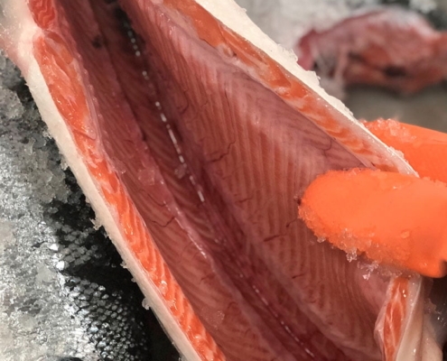 wild-sockeye-salmon-canada