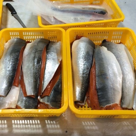 pacific-salmon-wholesale-seafood