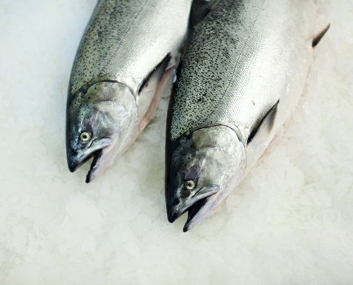 chinook-salmon-wholesale