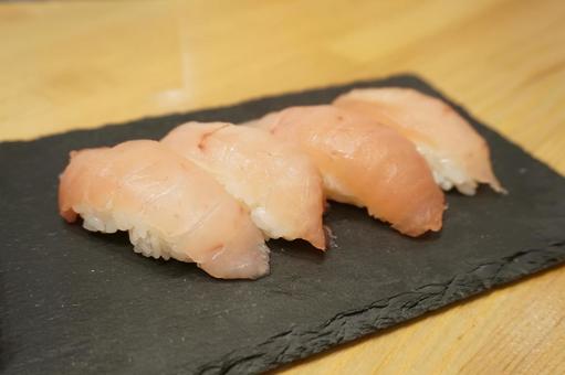 Albacore