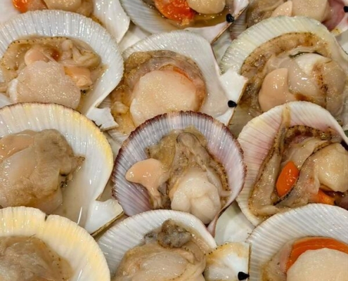Frozen Wild Sea Scallop